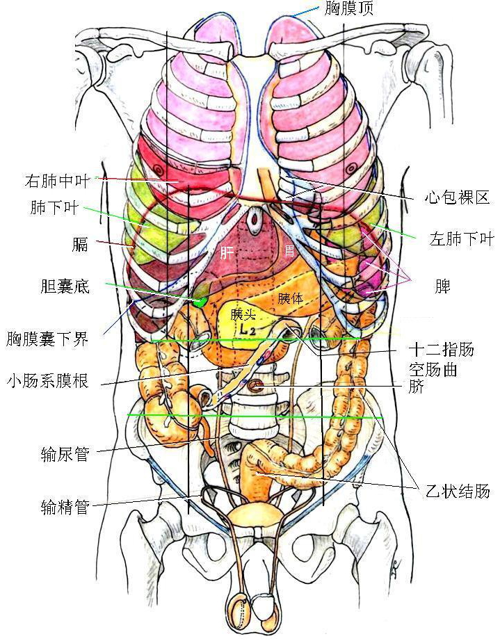 跑 大半脏器 到 肚子 外 宝宝一出生便上手术台(图4)
