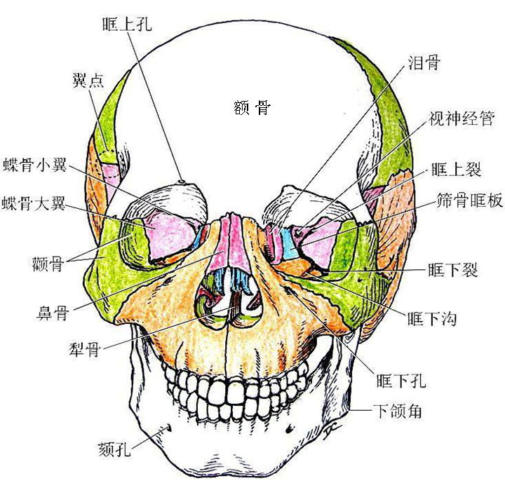 乙状窦骨壁缺损图片