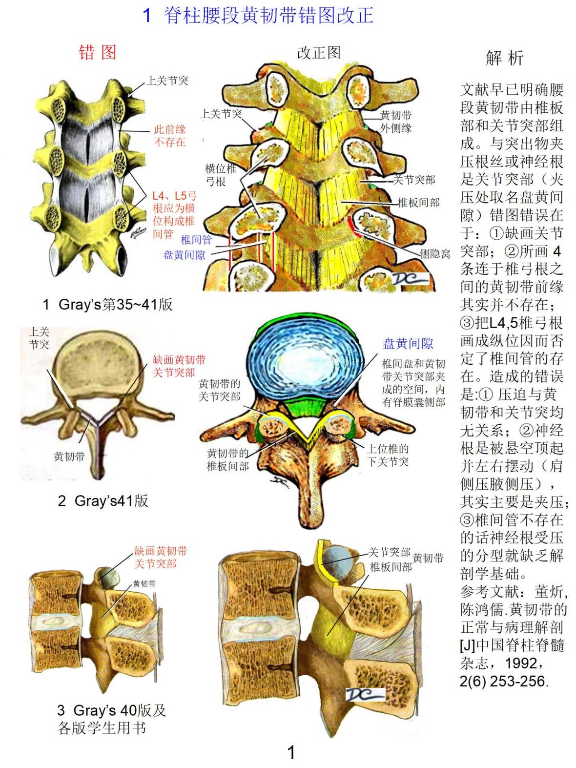 插图改进 - 董炘解剖教学网