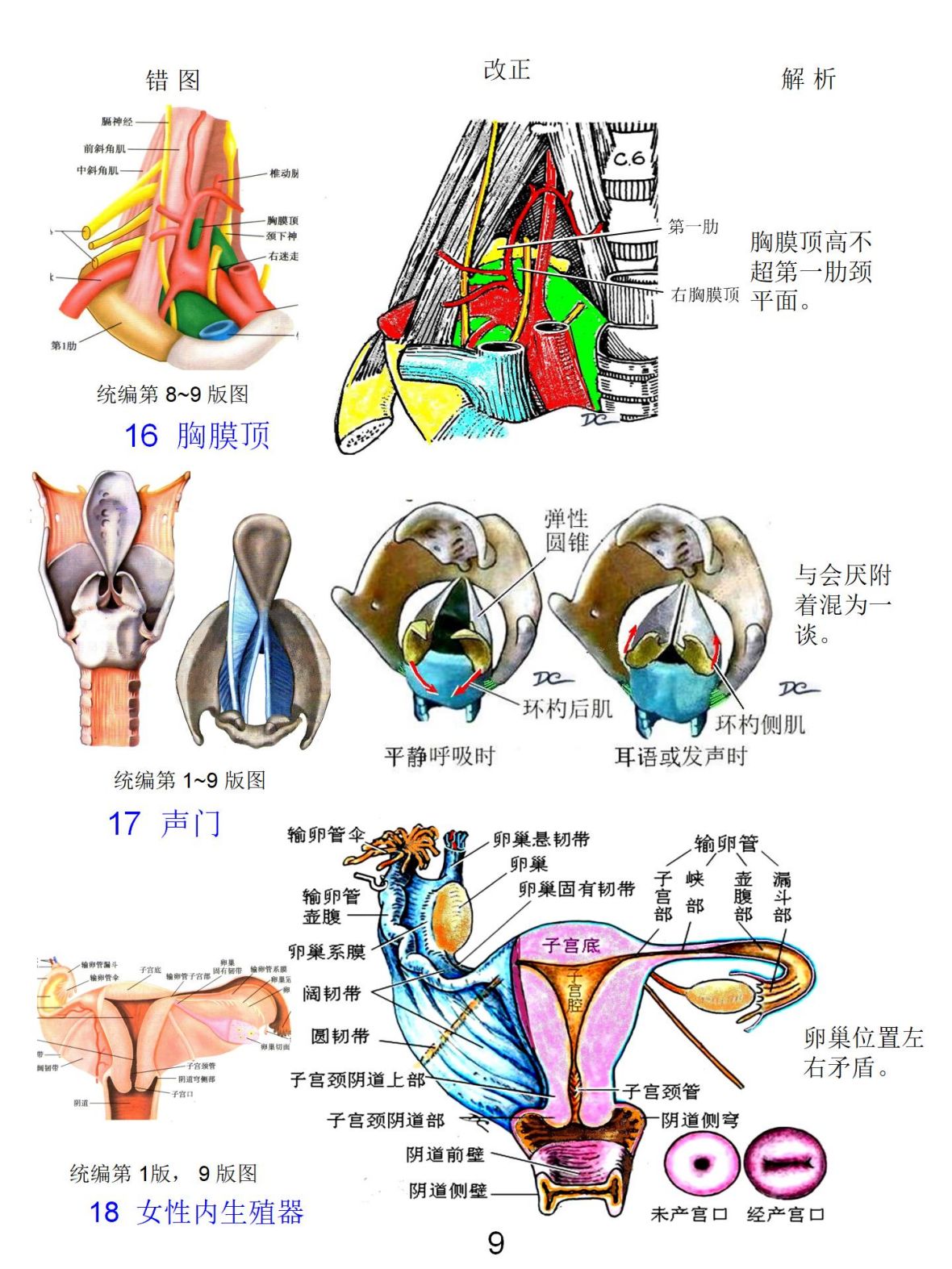 插图改进 - 董炘解剖教学网
