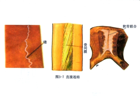 2直接链接.jpg