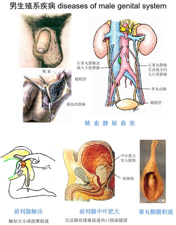 8疾病.jpg
