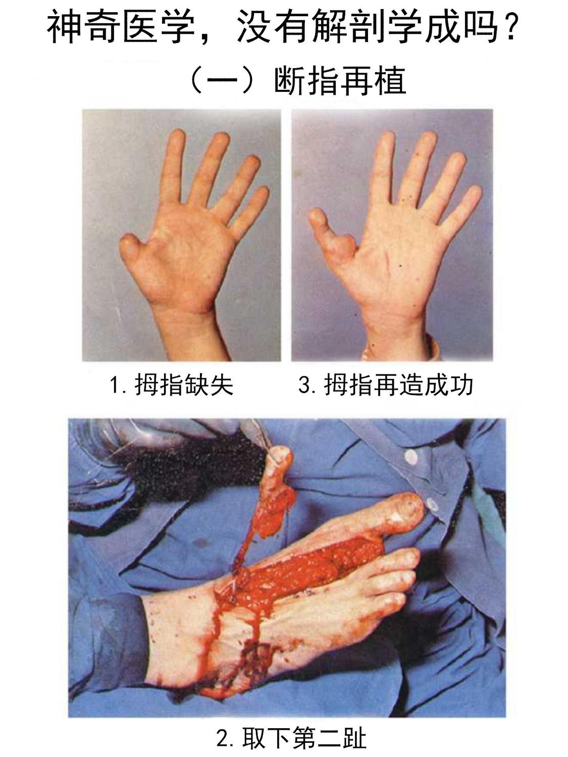 1_01.jpg